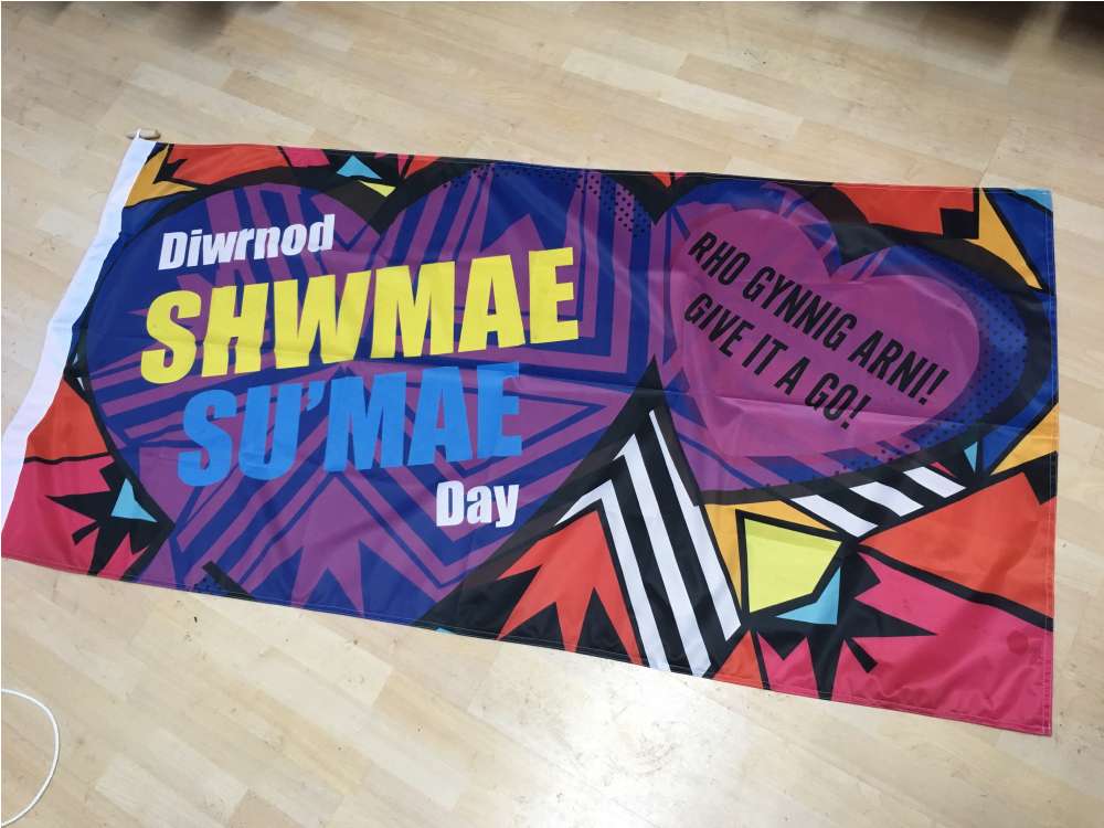 Shwmae Day Outdoor Quality Flag