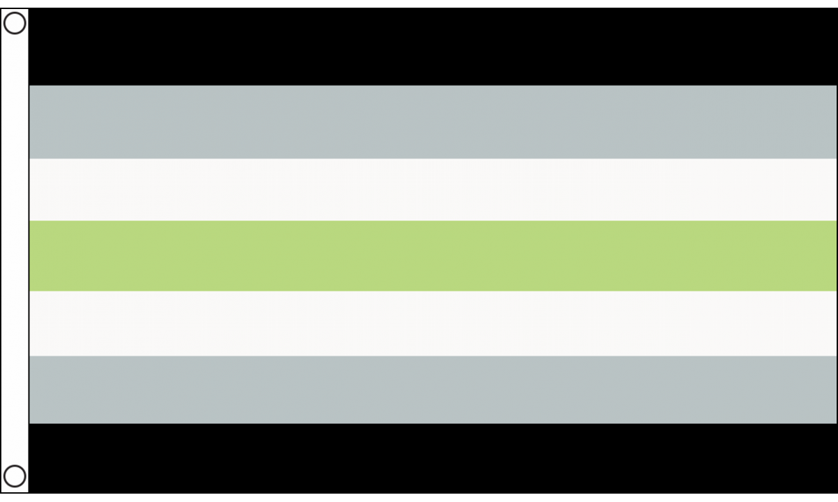 Agender Flag (Medium)