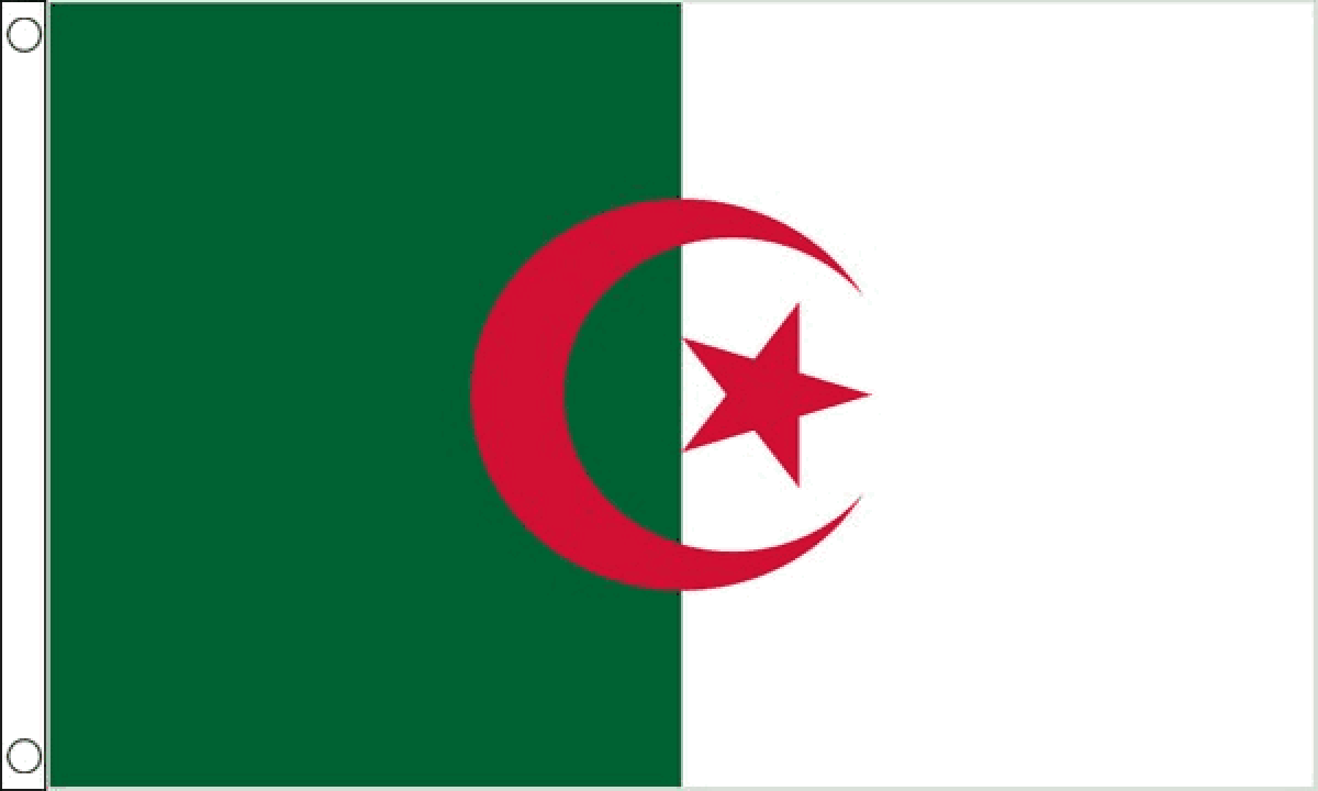 Algeria Flag (Medium)