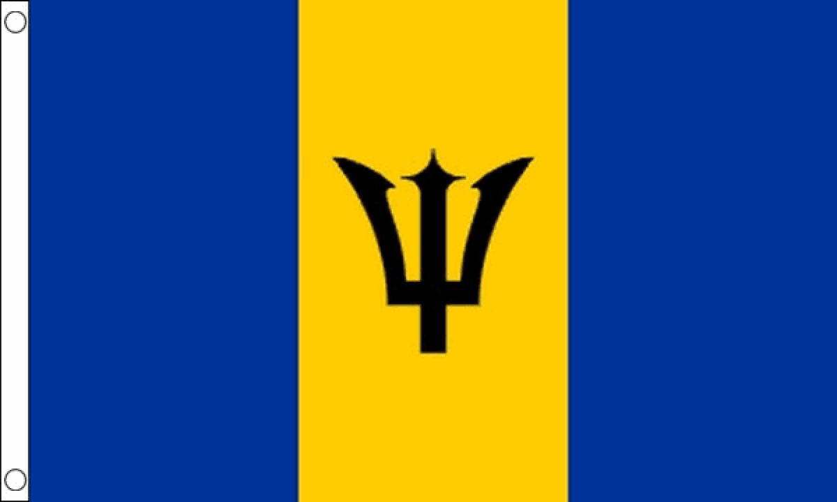 Barbados Flag (Medium)