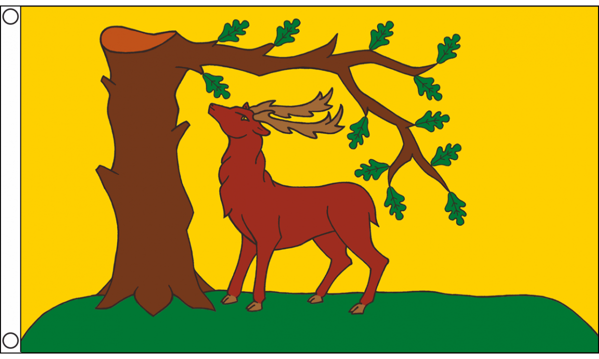 Berkshire New Flag (Medium)