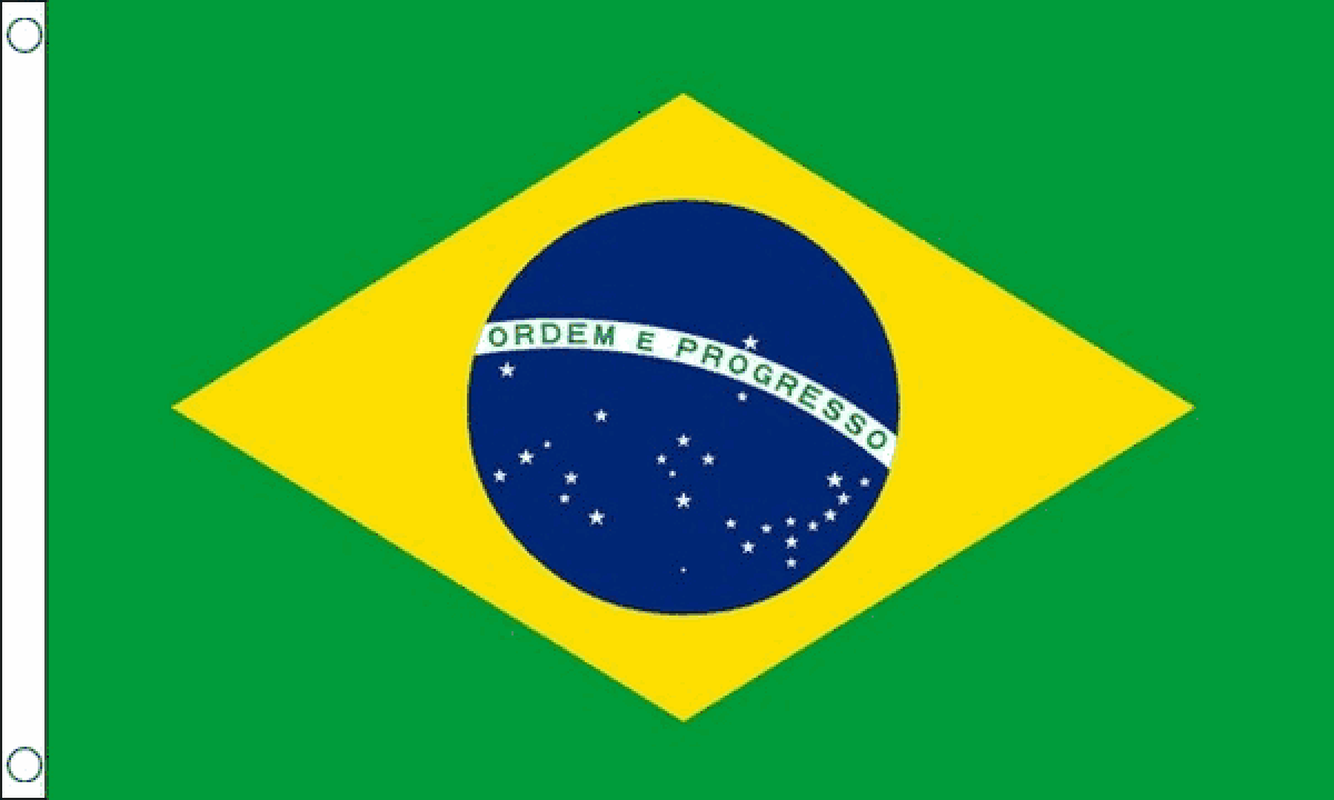 Brazil Flag (Small)