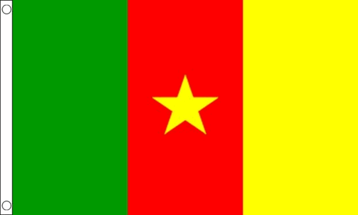 Cameroon Flag (Small)