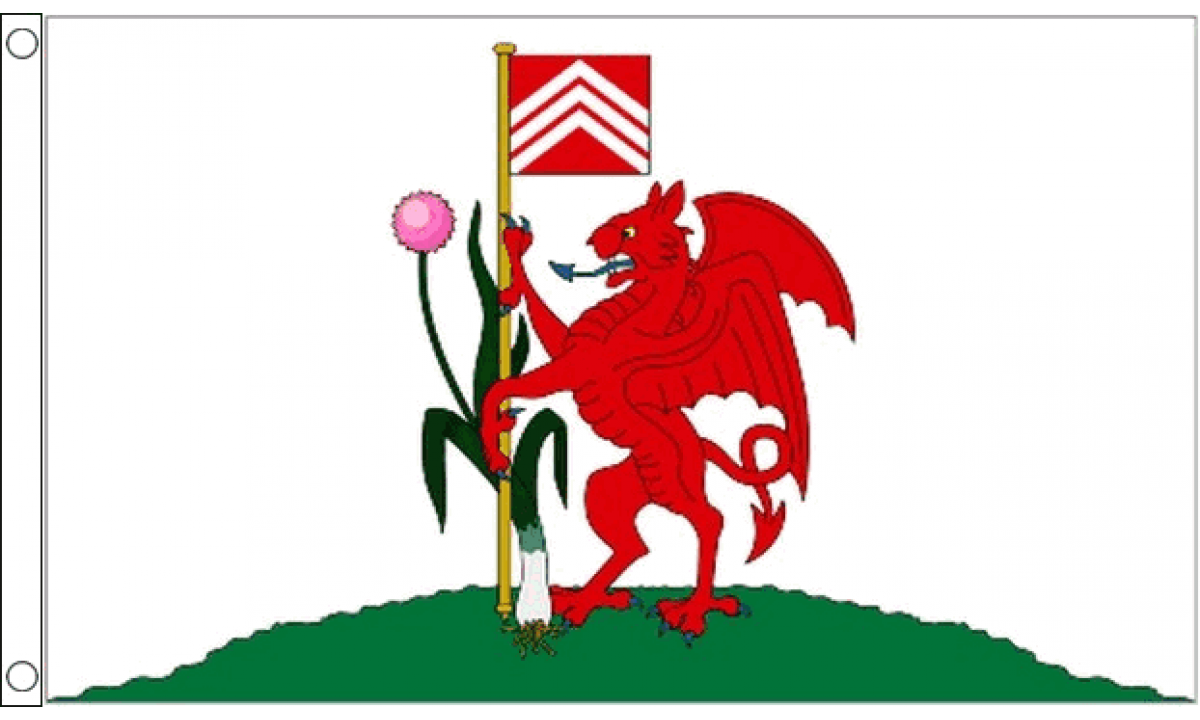 Cardiff Flag (Medium)