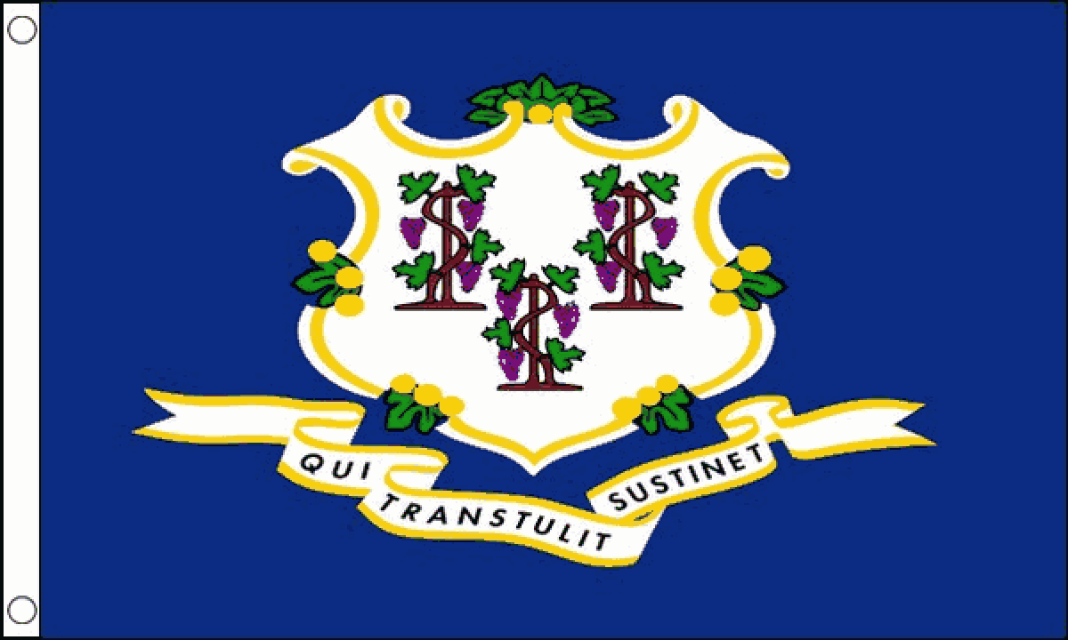 Connecticut Flag (Medium)