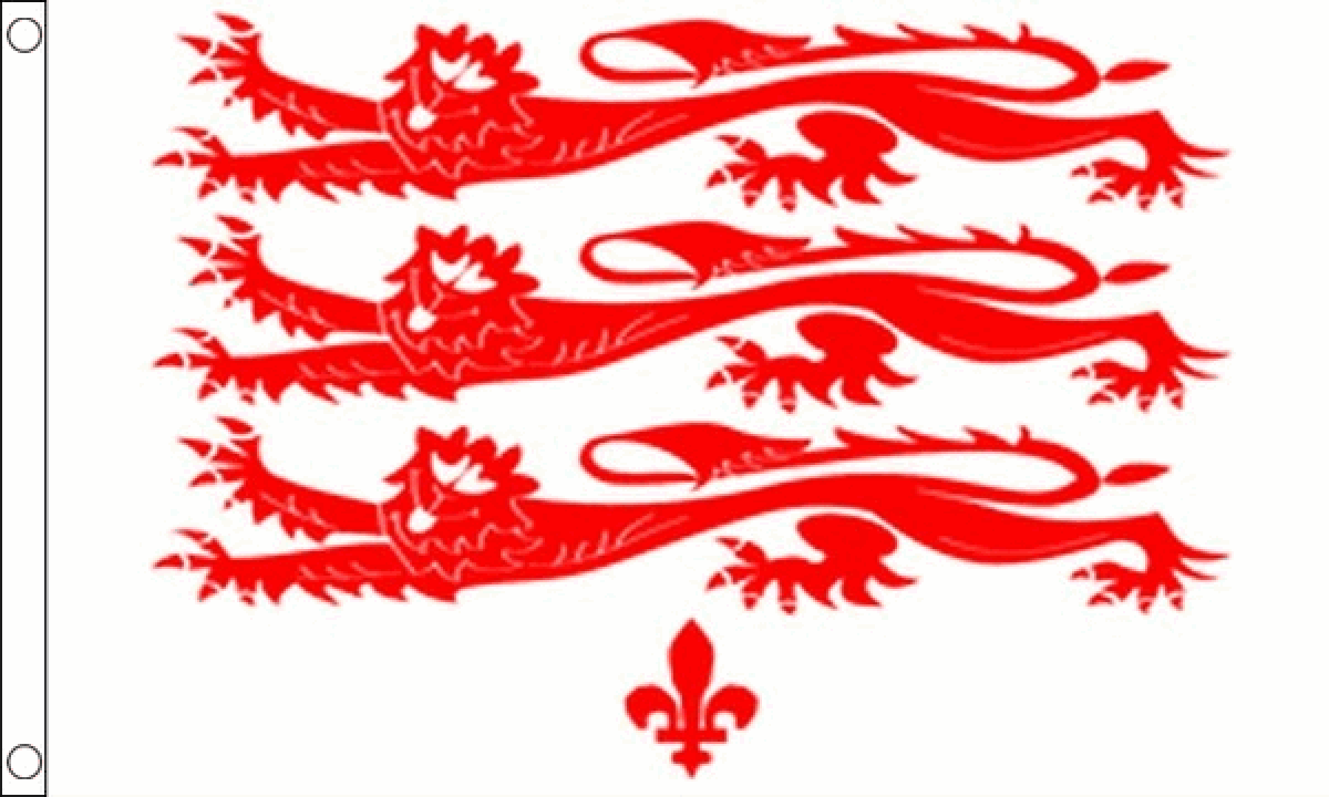 Dorset Old (Lions) Flag (Medium)