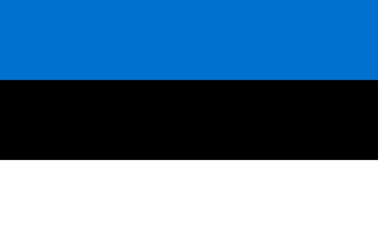 Estonia Traditional Sewn Flag