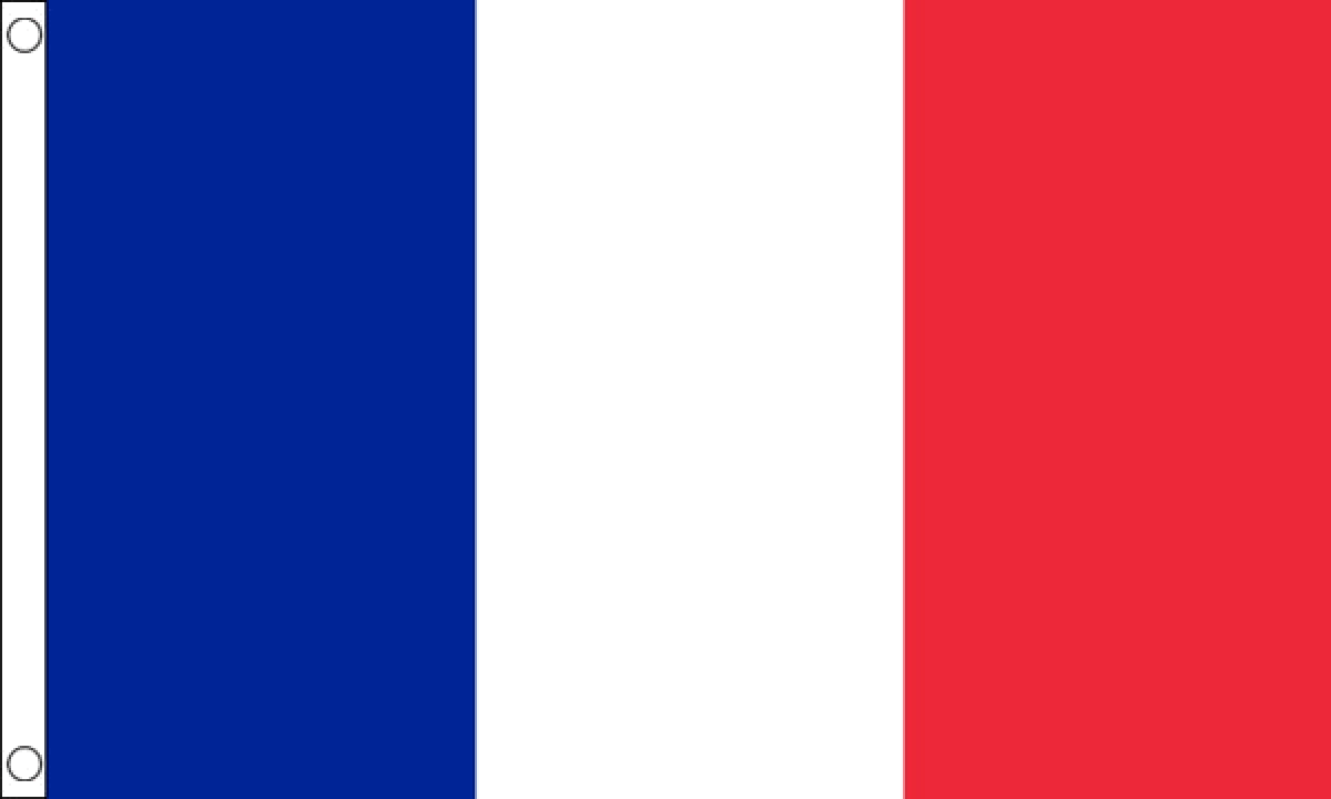 France Flag (Large)