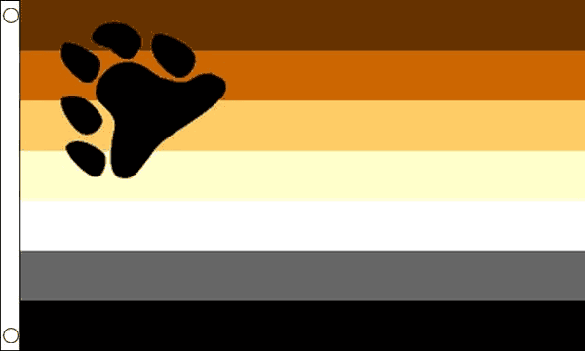 Gay Pride Bear Flag (Medium)