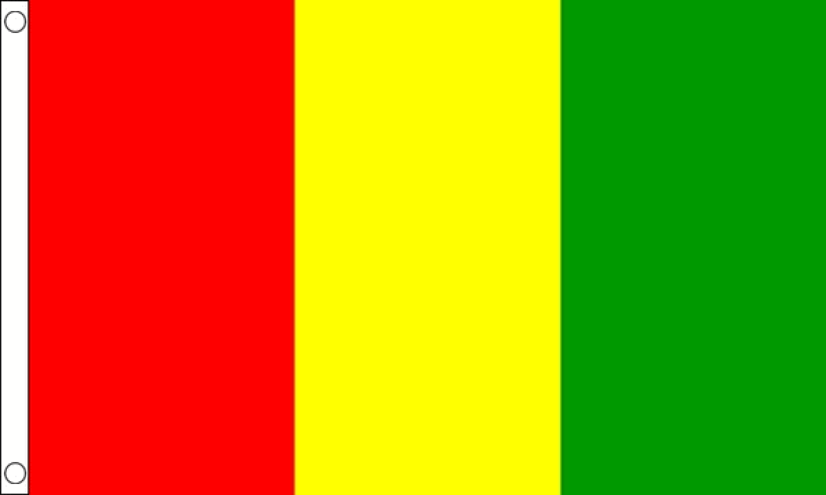 Guinea Flag (Medium)