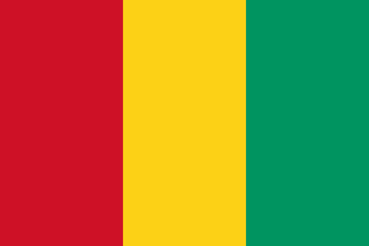 Guinea Traditional Sewn Flag