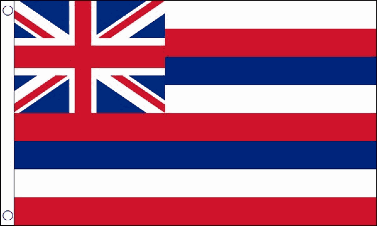 Hawaii Small Flag (Small)