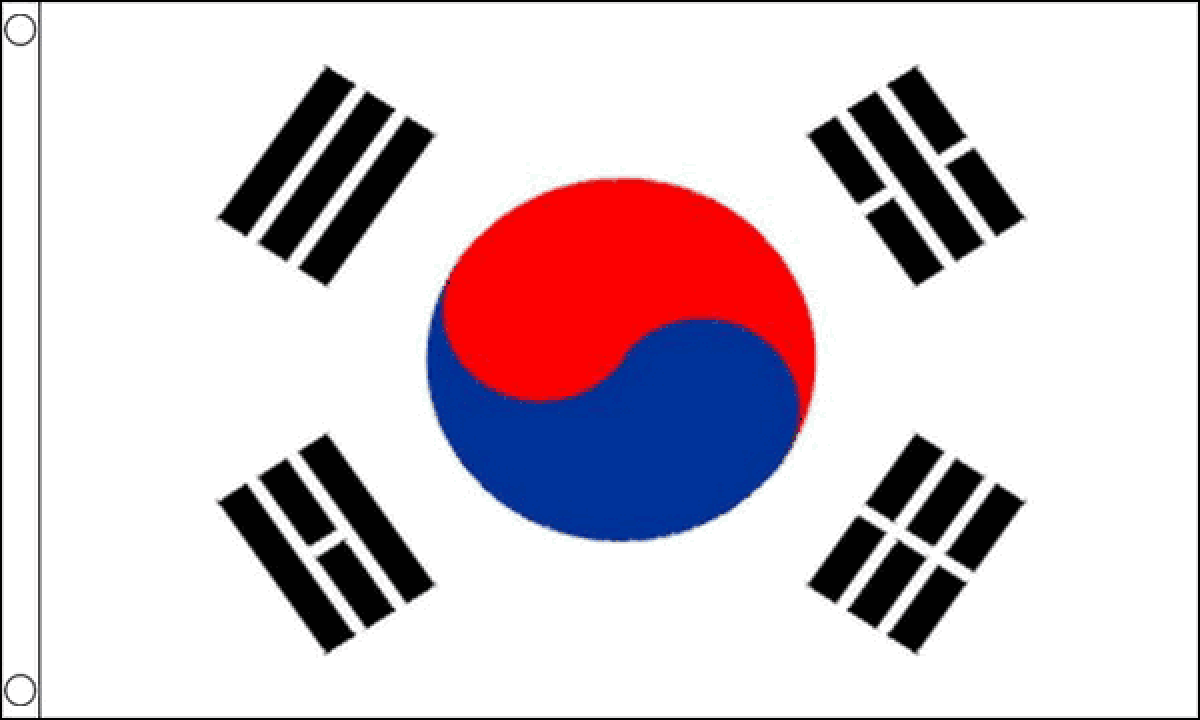 South Korea Flag (Medium)
