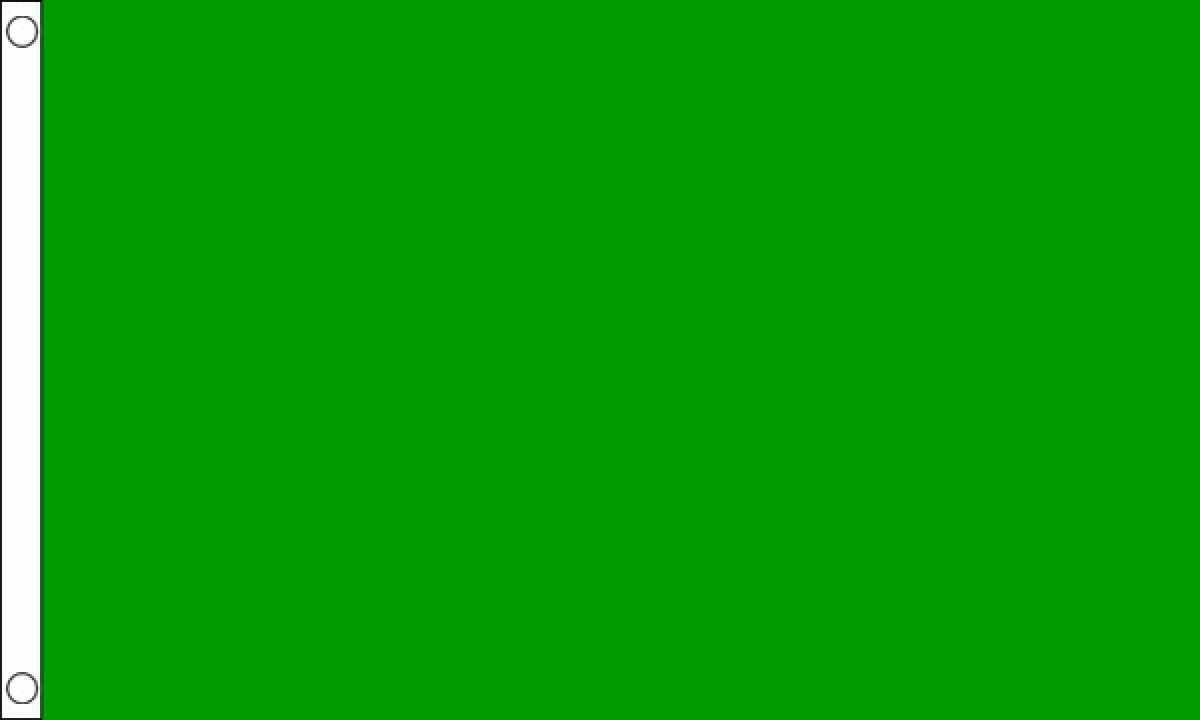 Libya Old (Green) Flag (Medium)