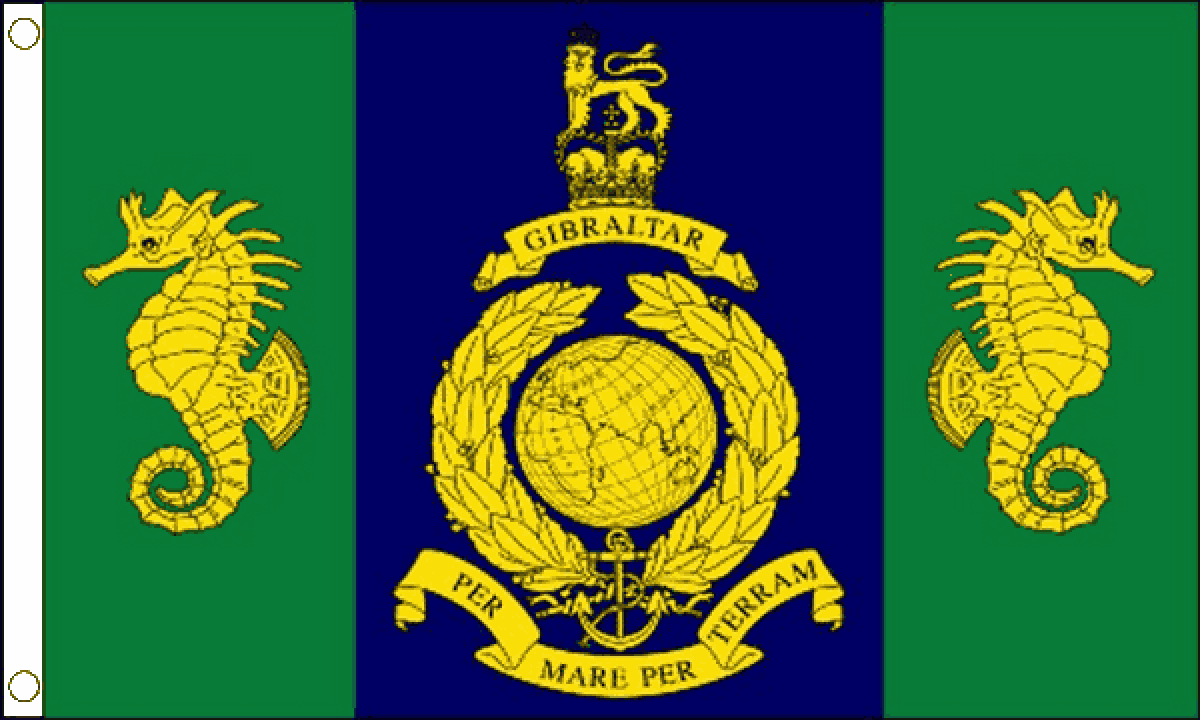Logistic Regiment Royal Marines Flag (Medium)
