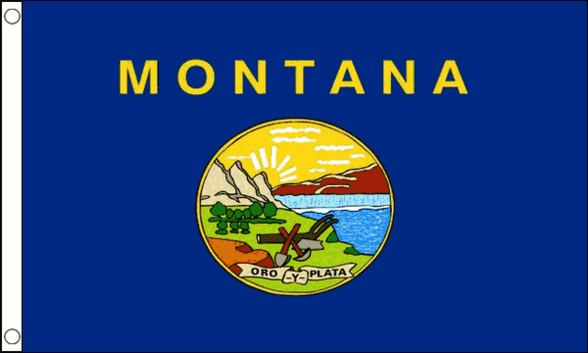 Montana Flag (Medium)