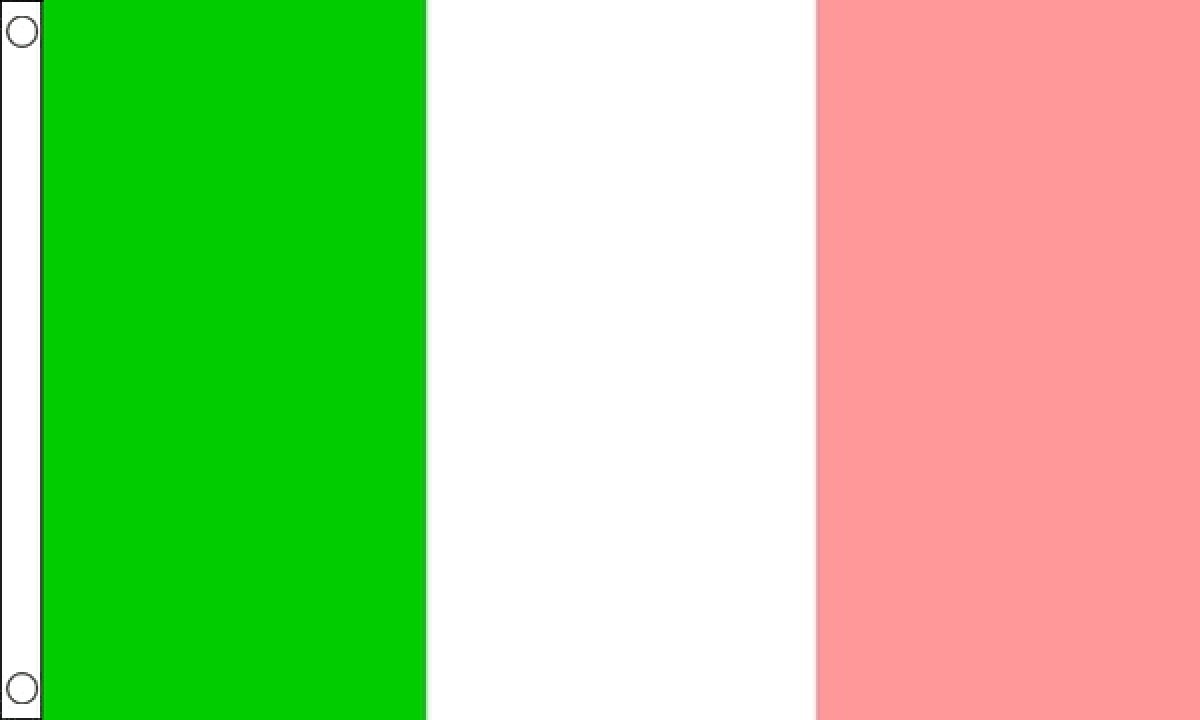 Newfoundland Flag (Medium)