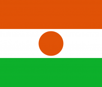 Niger Flag (Small)