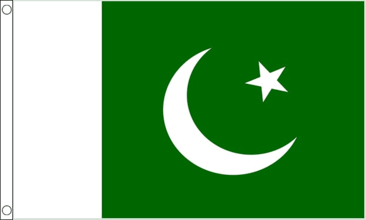Pakistan Flag (Large)
