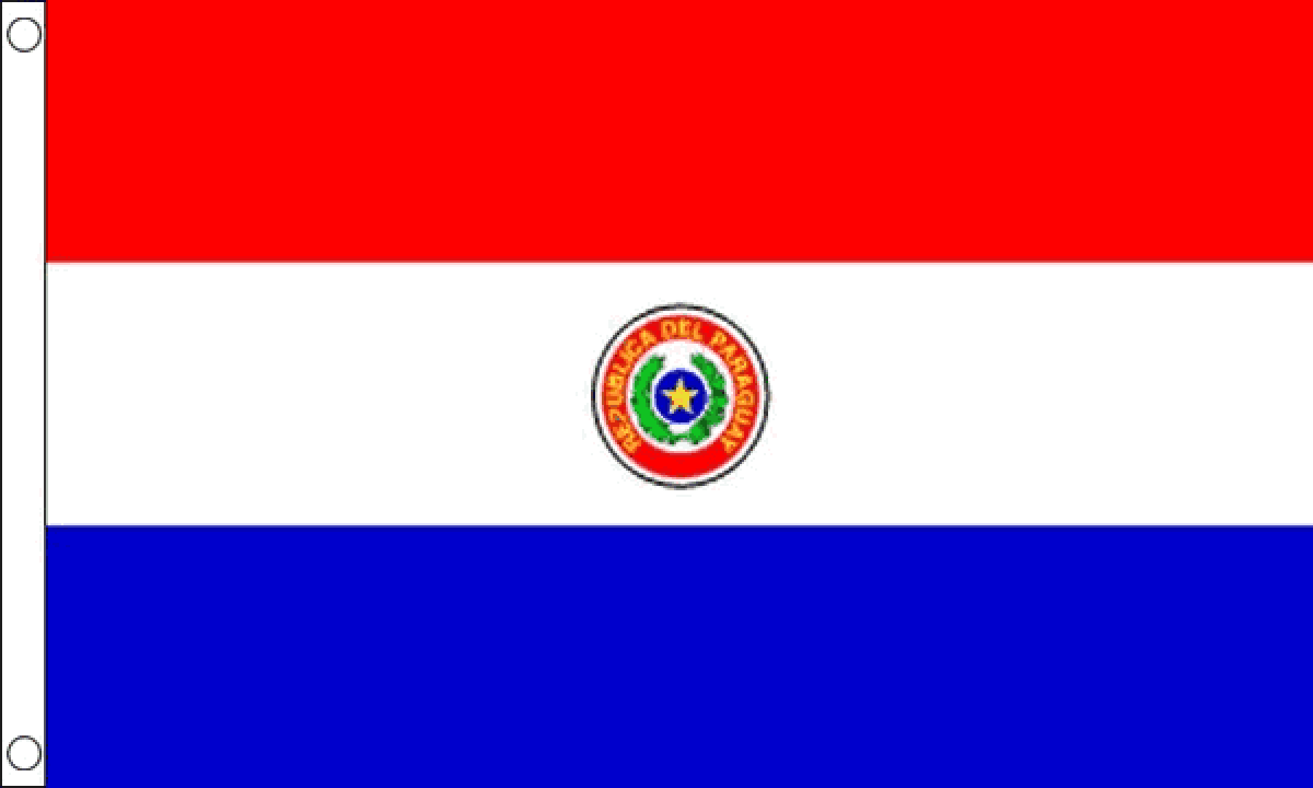 Paraguay Flag (Small)