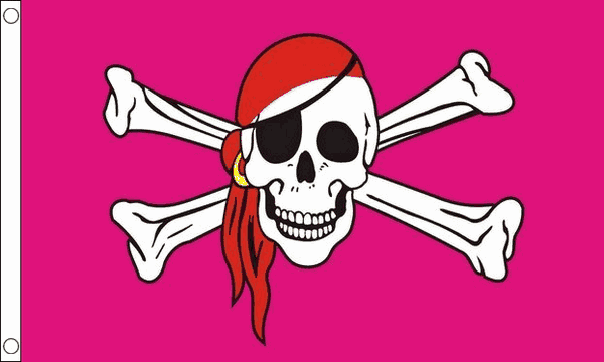 Pink Pirate Flag (Medium)