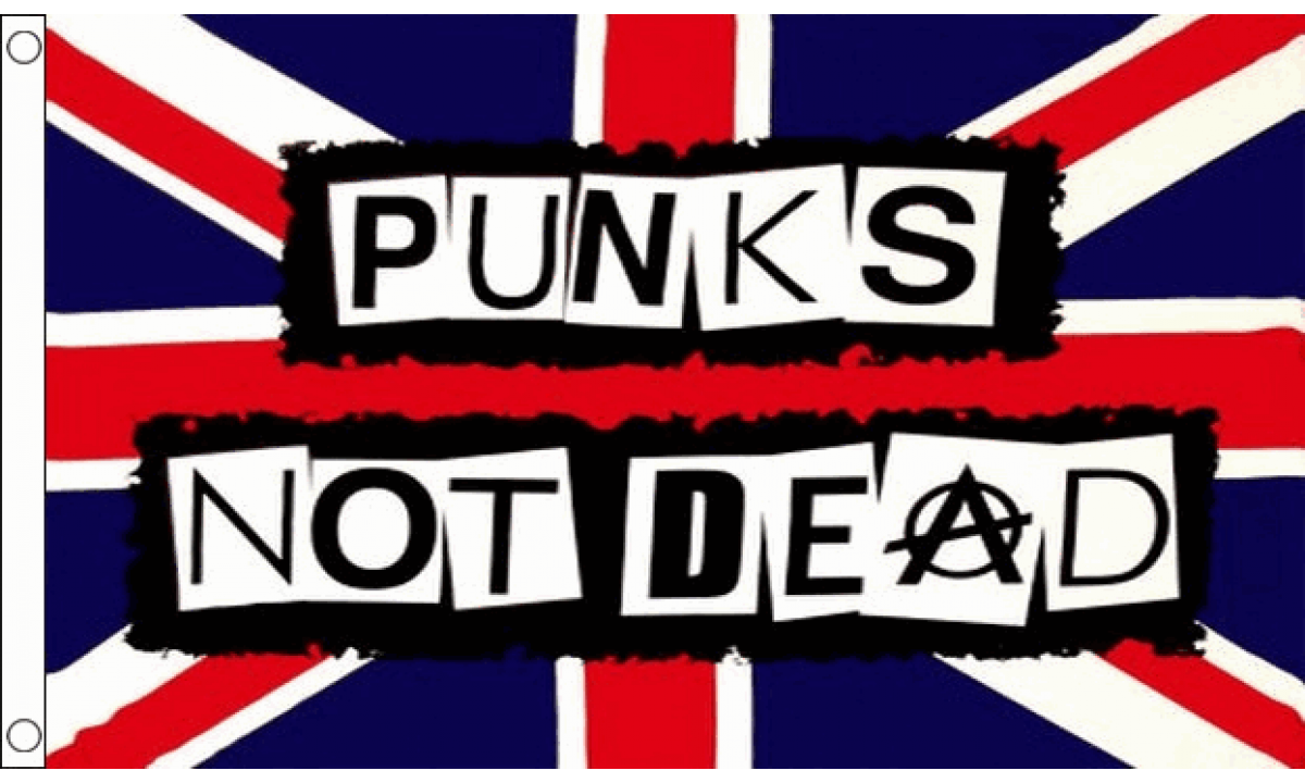 Punks not Dead Flag (Small)