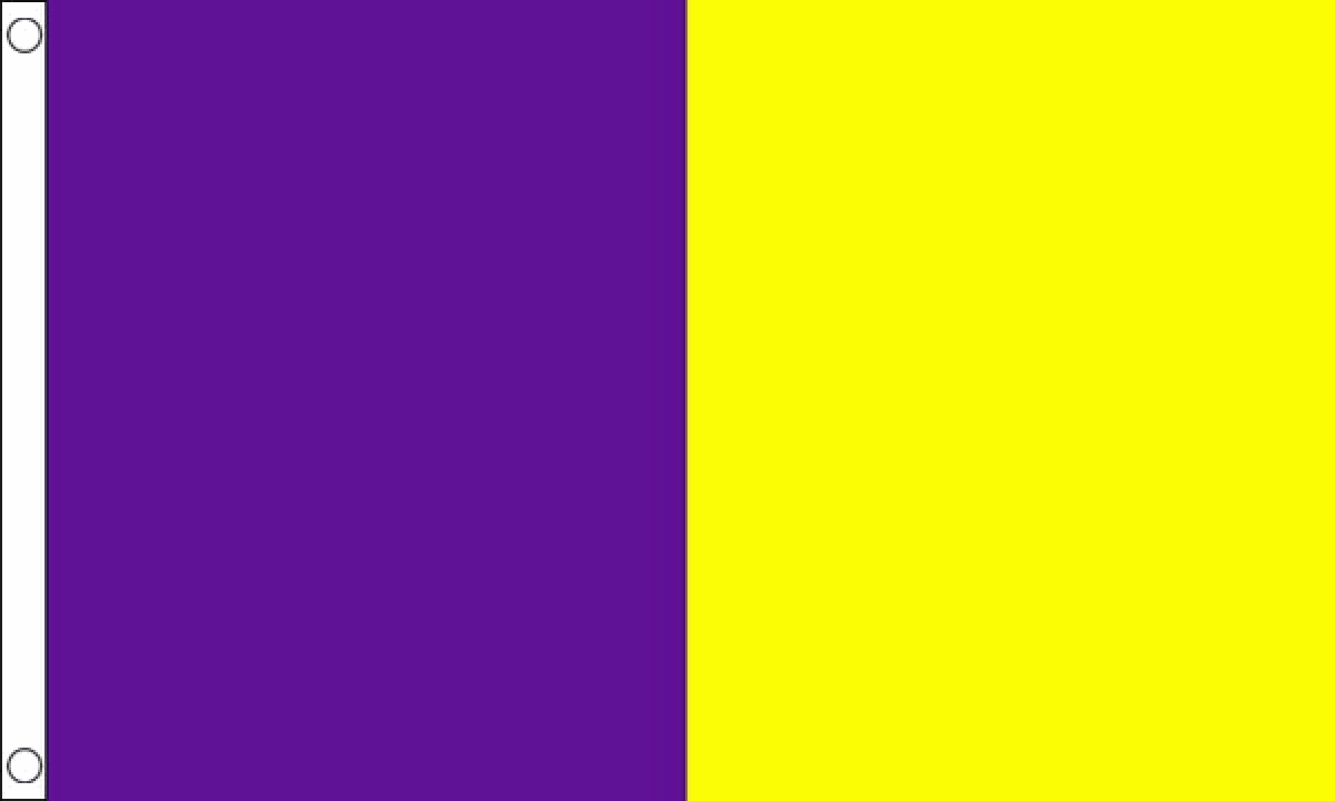 Purple and Gold Irish County Flag (Medium)