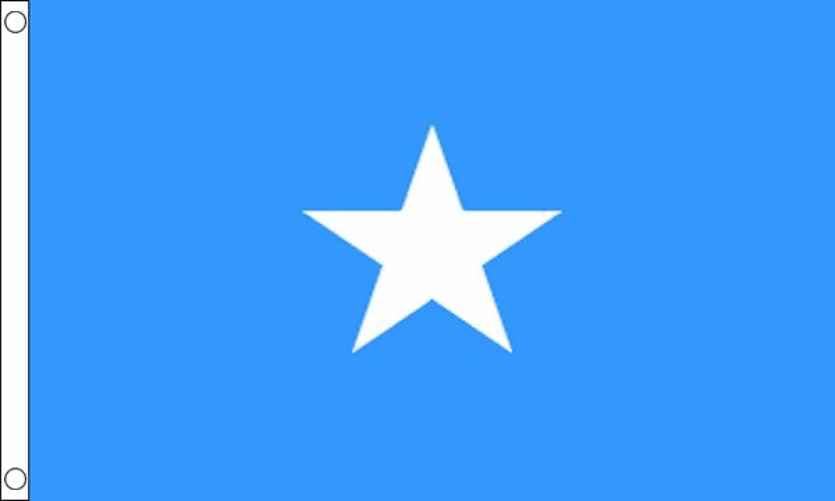 Somalia Flag (Small)