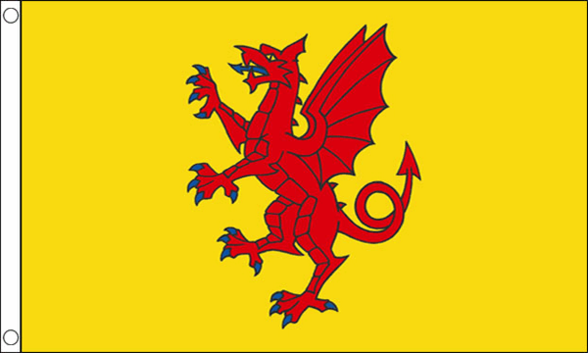 Somerset New Flag (Medium)
