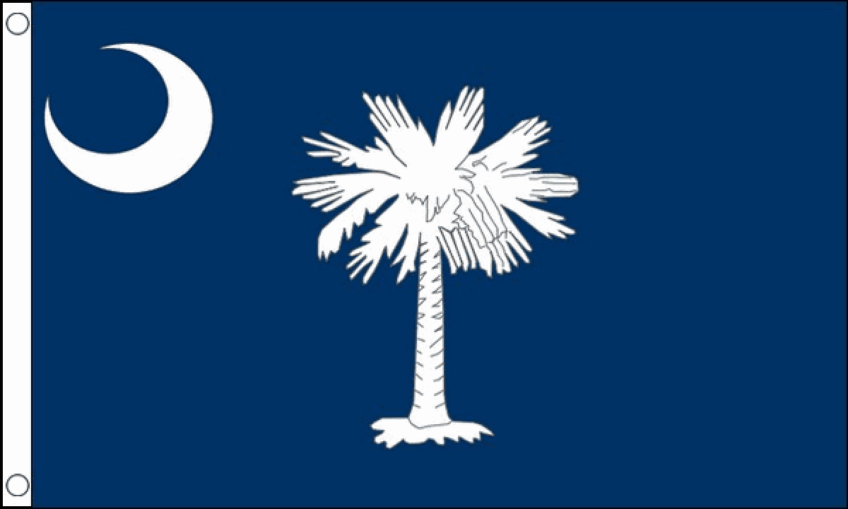 South Carolina Flag (Medium)