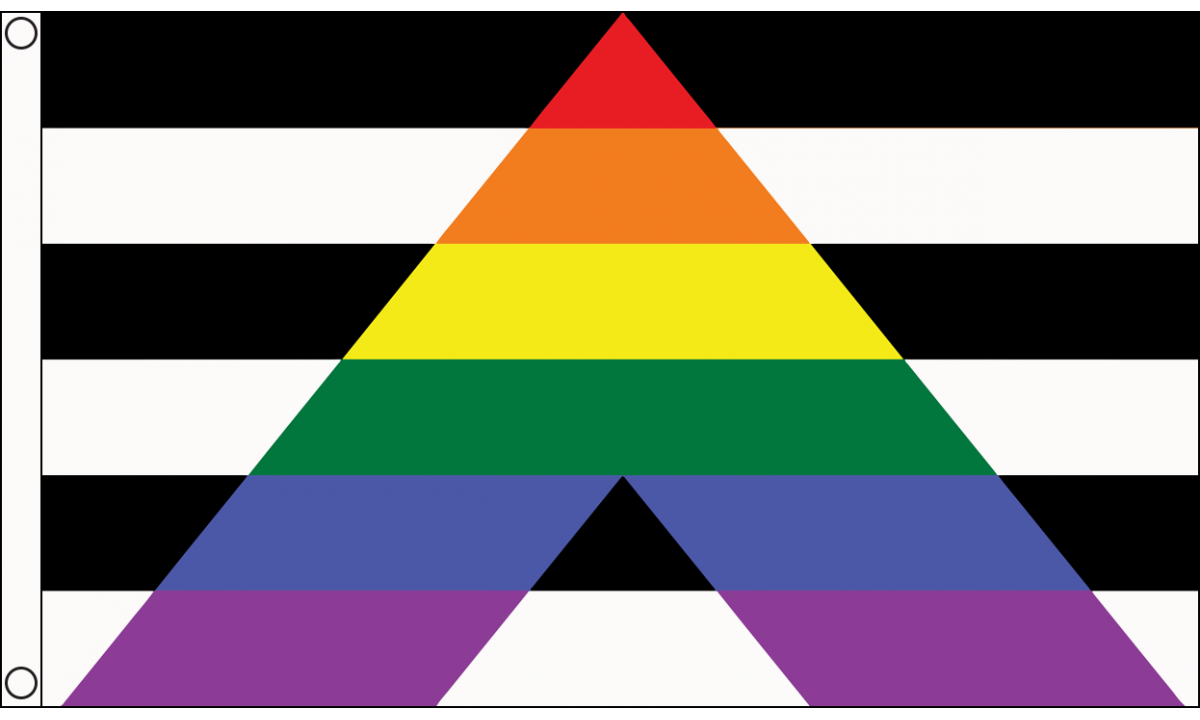 Gay Ally Flag (Medium)