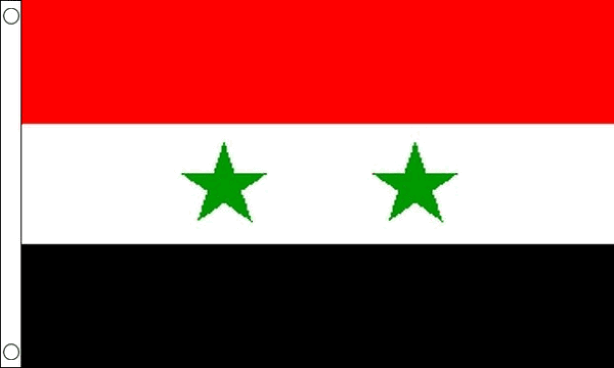 Syria Flag (Medium)