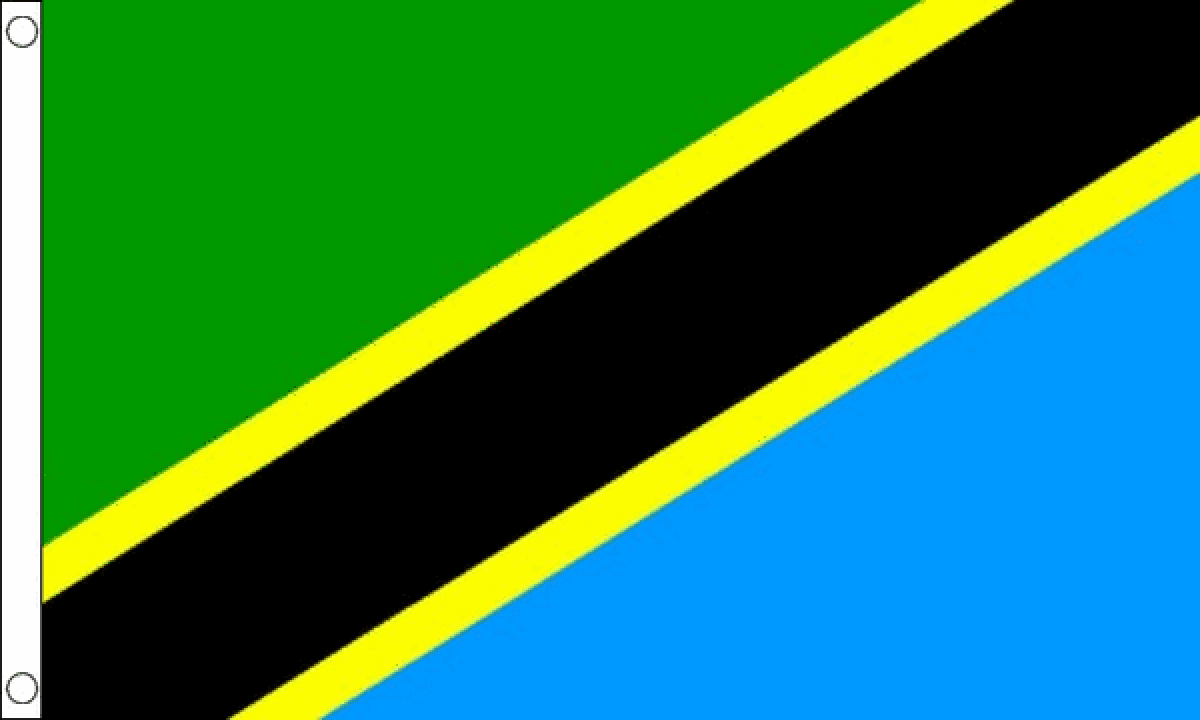 Tanzania Flag (Medium)