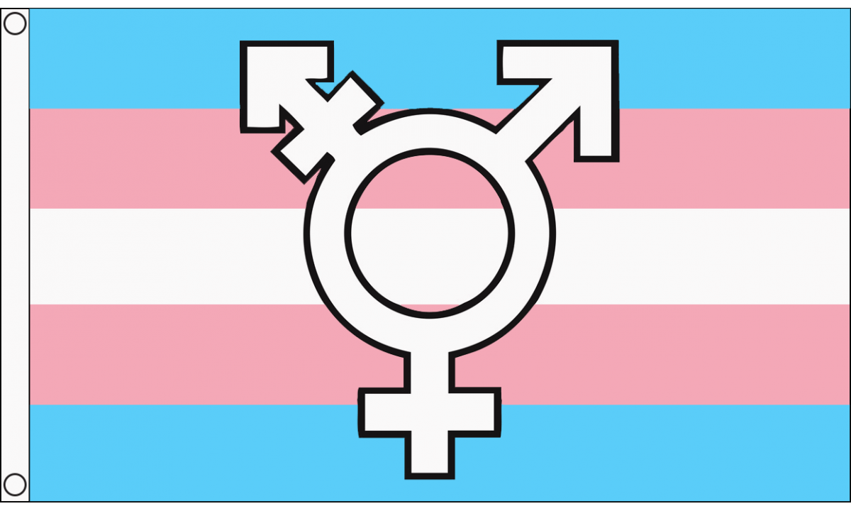 Transgender New Symbol Flag (Medium)