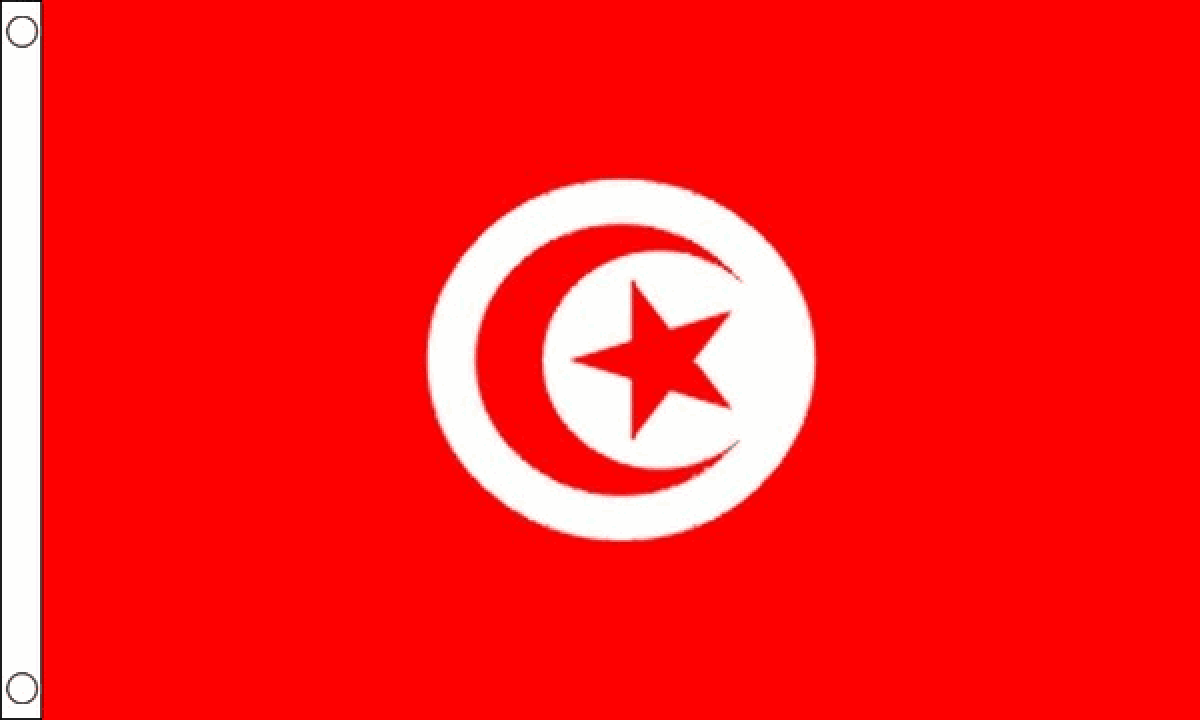 Tunisia Flag (Small)