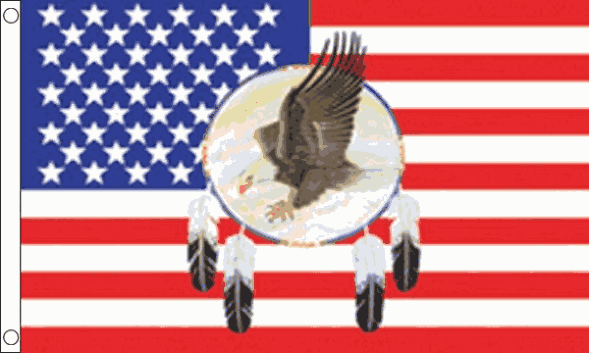USA Dreamcatcher Flag (Medium)