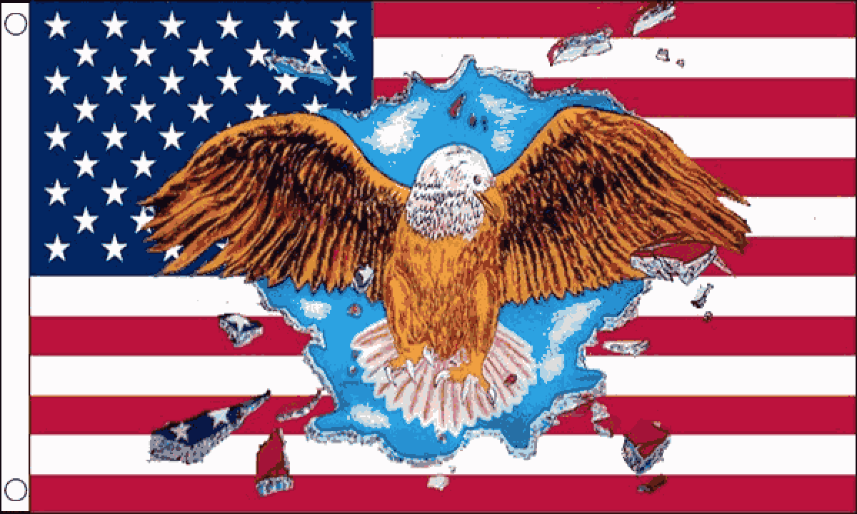 USA Eagle Flag (Medium)