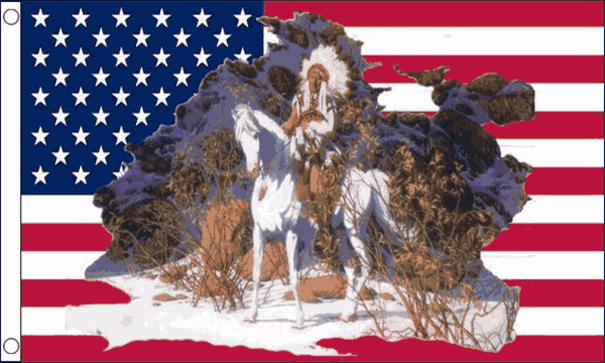 USA Native American Chief Flag (Large)