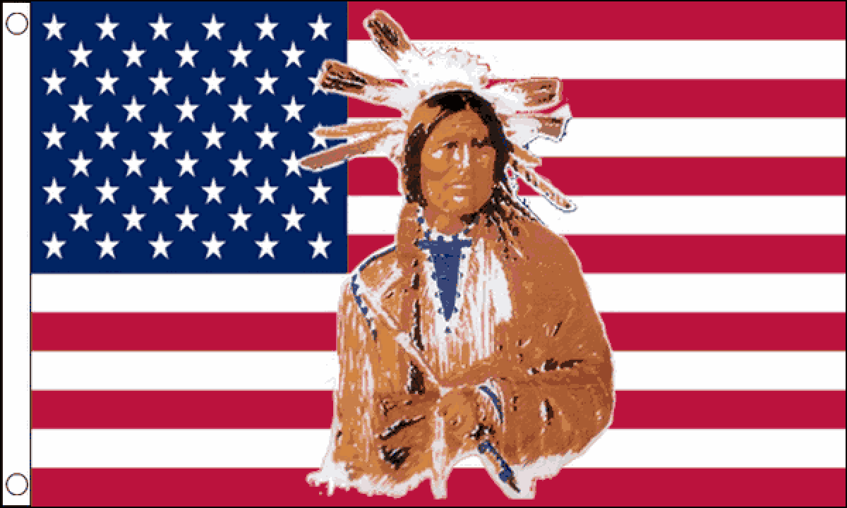 USA Native American Flag (Medium)