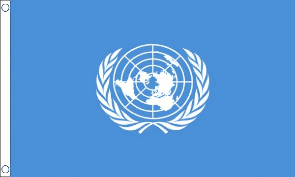 United Nations Flag (Medium)
