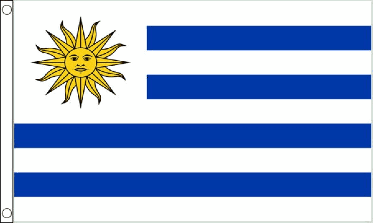 Uruguay Flag (Medium)