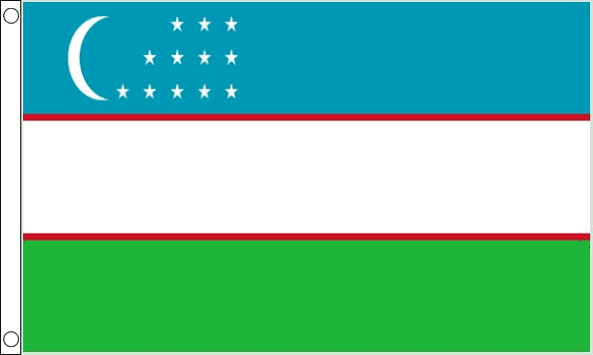 Uzbekistan Flag (Medium)