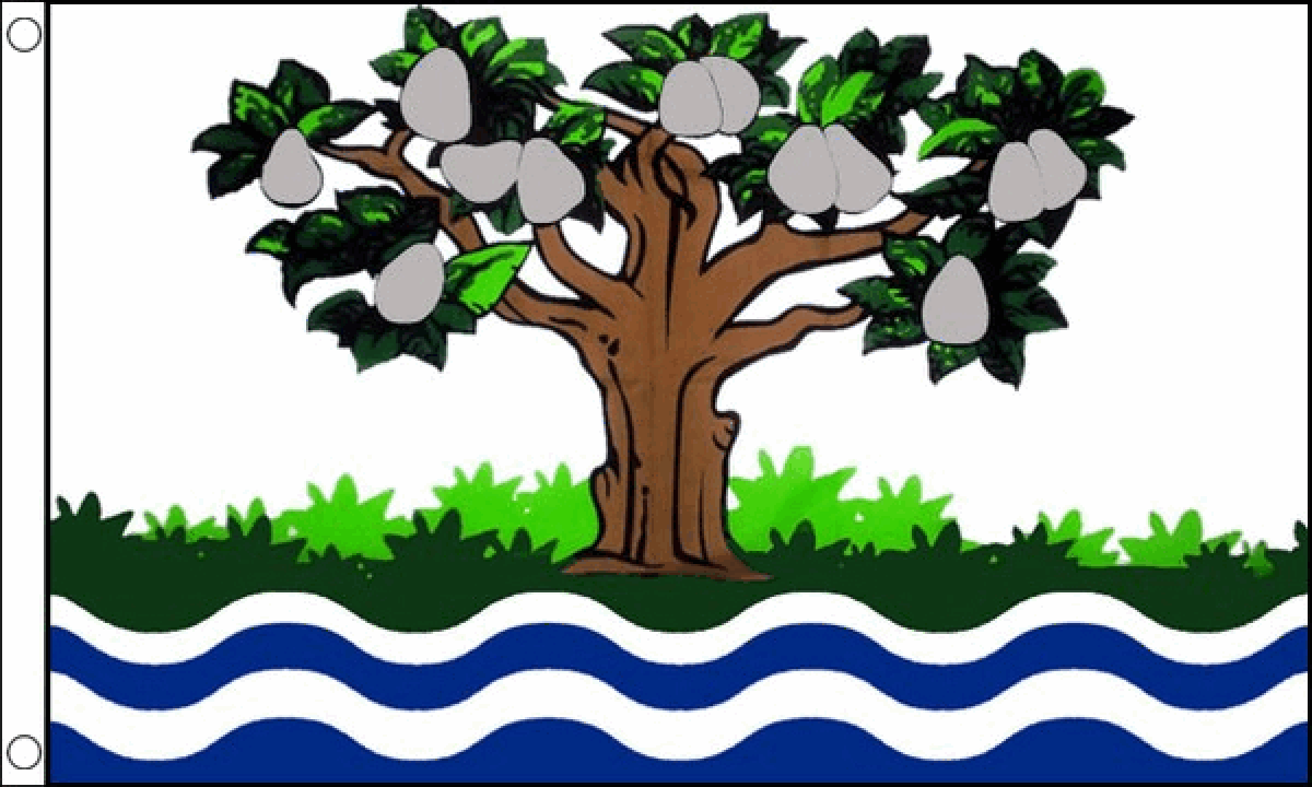 Worcestershire (Old) Flag (Medium)