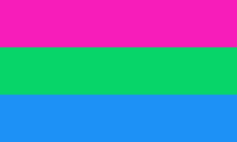 Polysexual Pride Outdoor Quality Flag