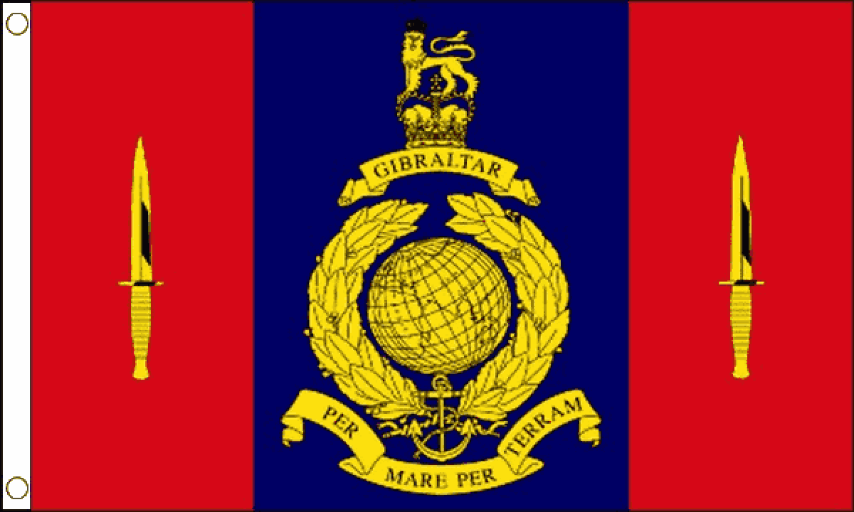 45 Commando Royal Marines Flag (Medium)