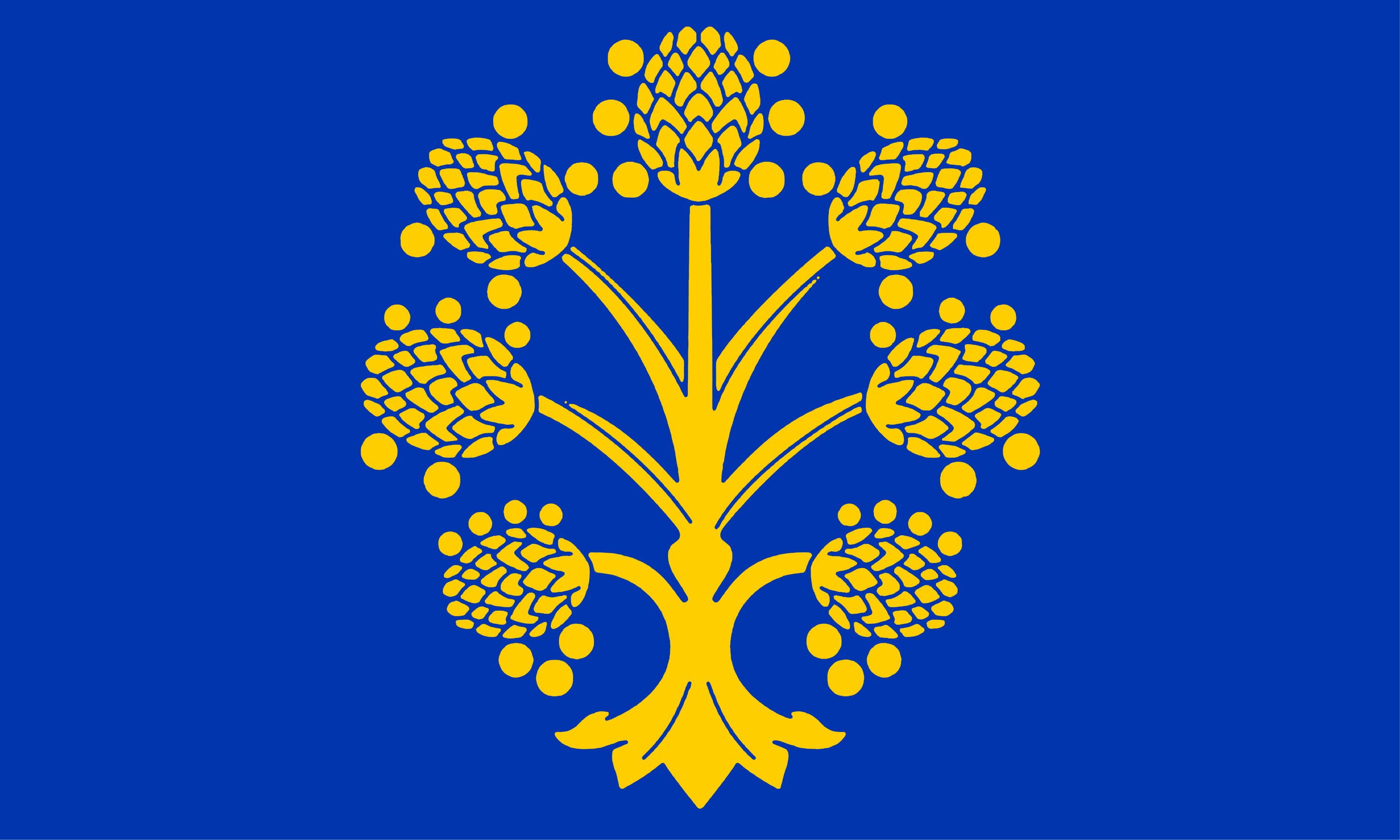 Appleby-in-Westmorland Outdoor Quality Flag