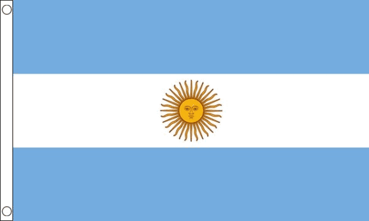 Argentina Flag (Small)