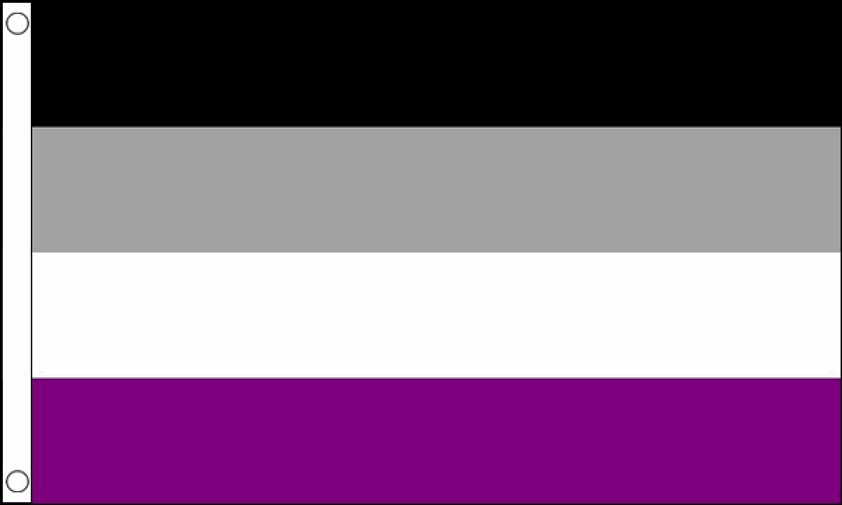 Asexual Flag (Medium)