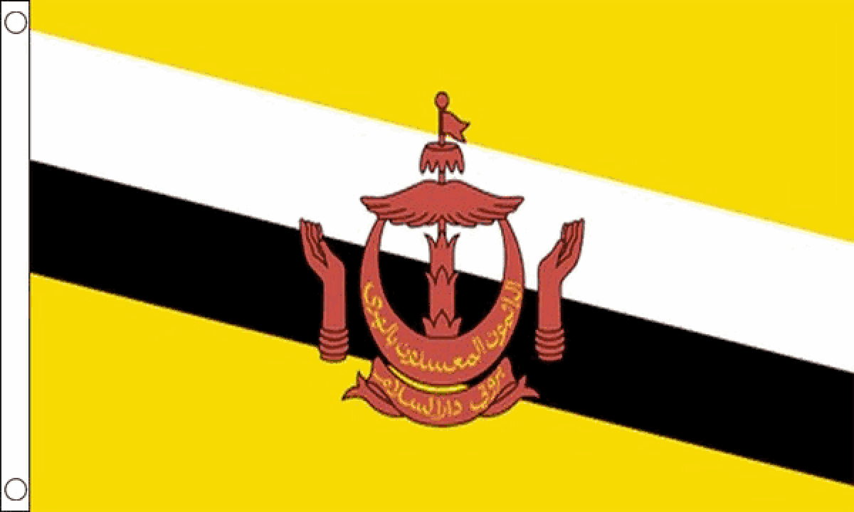 Brunei Flag (Medium)