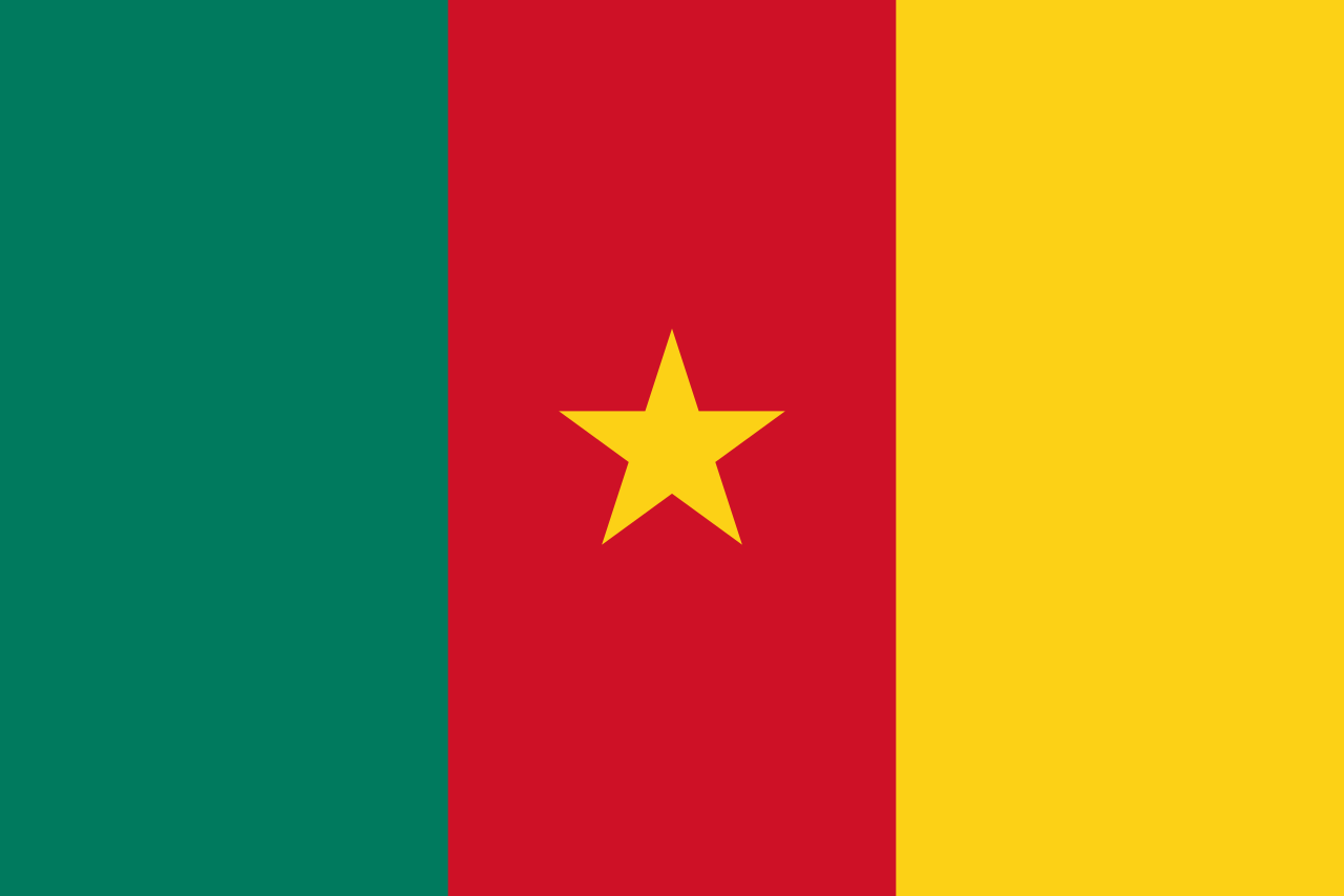 Cameroon Traditional Sewn Flag